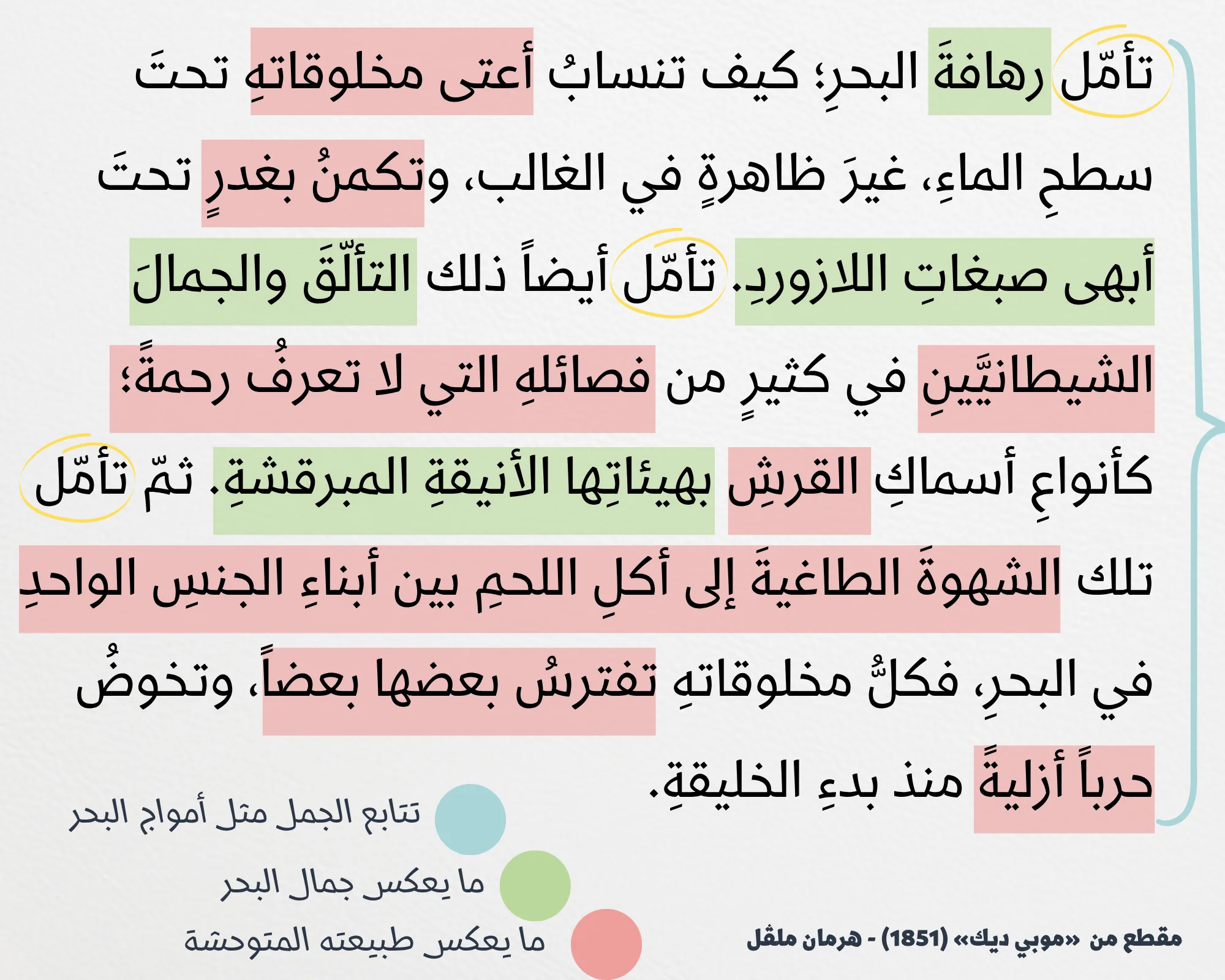 تحليل لغوي لمقطع من «موبي ديك» لهرمان ملفل